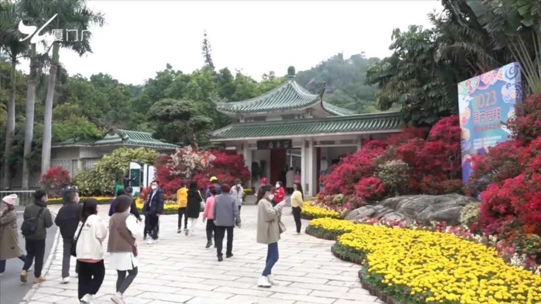 厦门人气旺旺旺,厦门人气高的自助