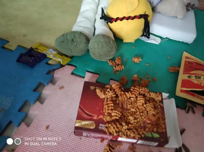 2024年迎新年活动方案,2023迎新年活动主题