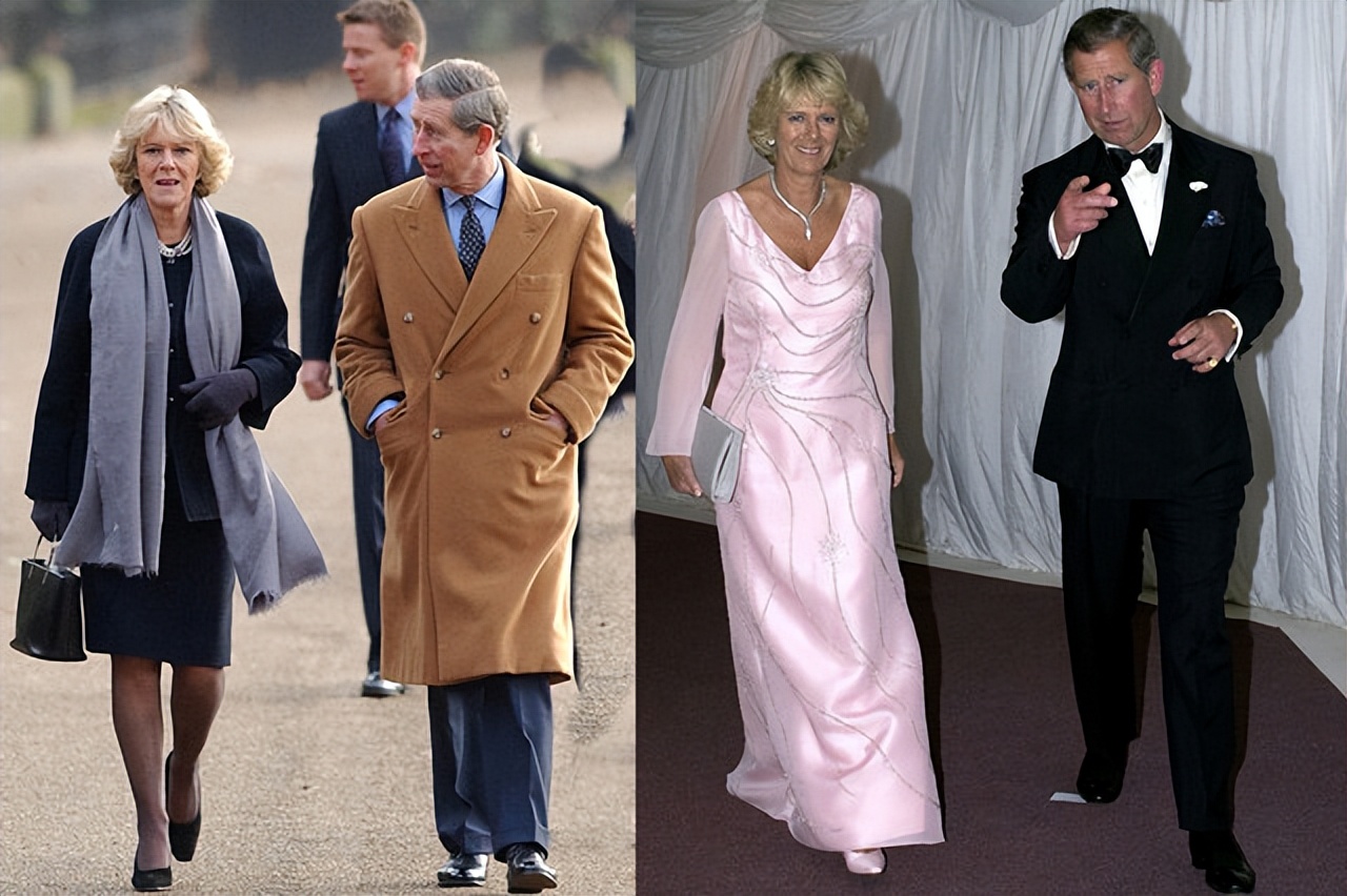 卡米拉终于当上了王后,卡米拉变好的视频