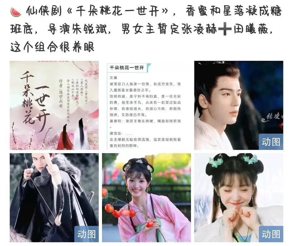 田曦薇真实事情,田曦薇还有新剧吗