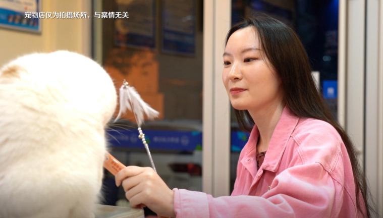 宠物店买到星期狗怎么办,宠物市场买到星期猫