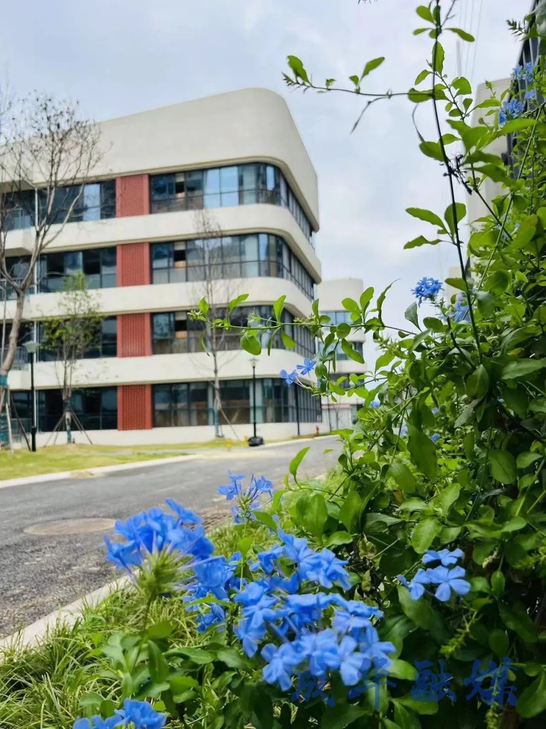 三所新学校先后亮相,两所学校新校区