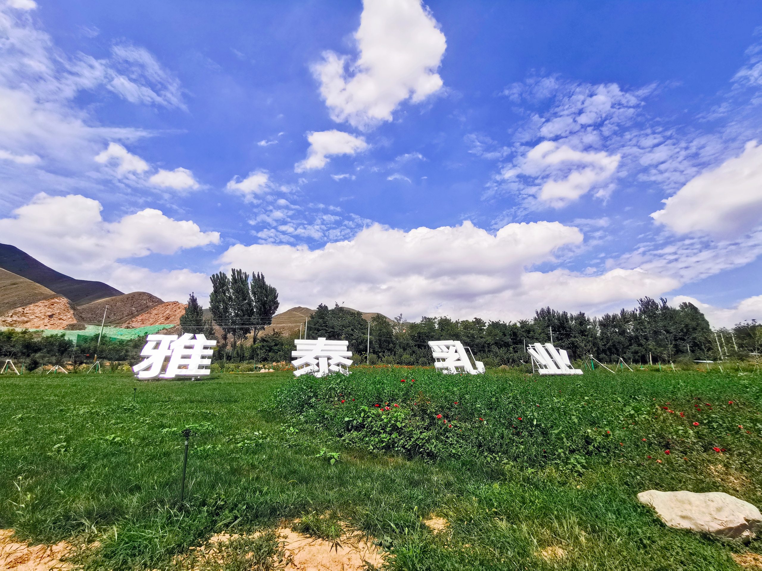 雅泰乳业配方羊奶粉系列,陕西雅泰乳业的羊奶粉质量怎么样