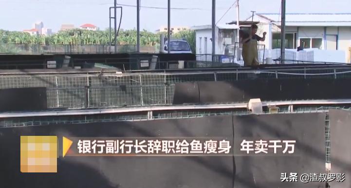 银行副行长辞职赚钱,中国银行副行长辞职