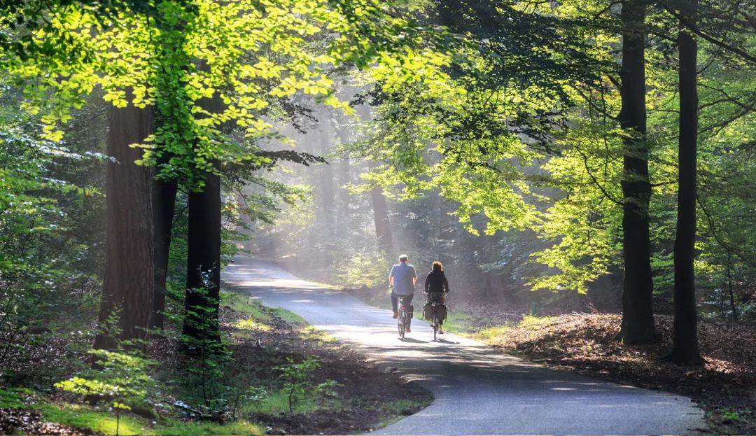 骑马旅游荷兰攻略视频教程,游荷兰需要什么手续