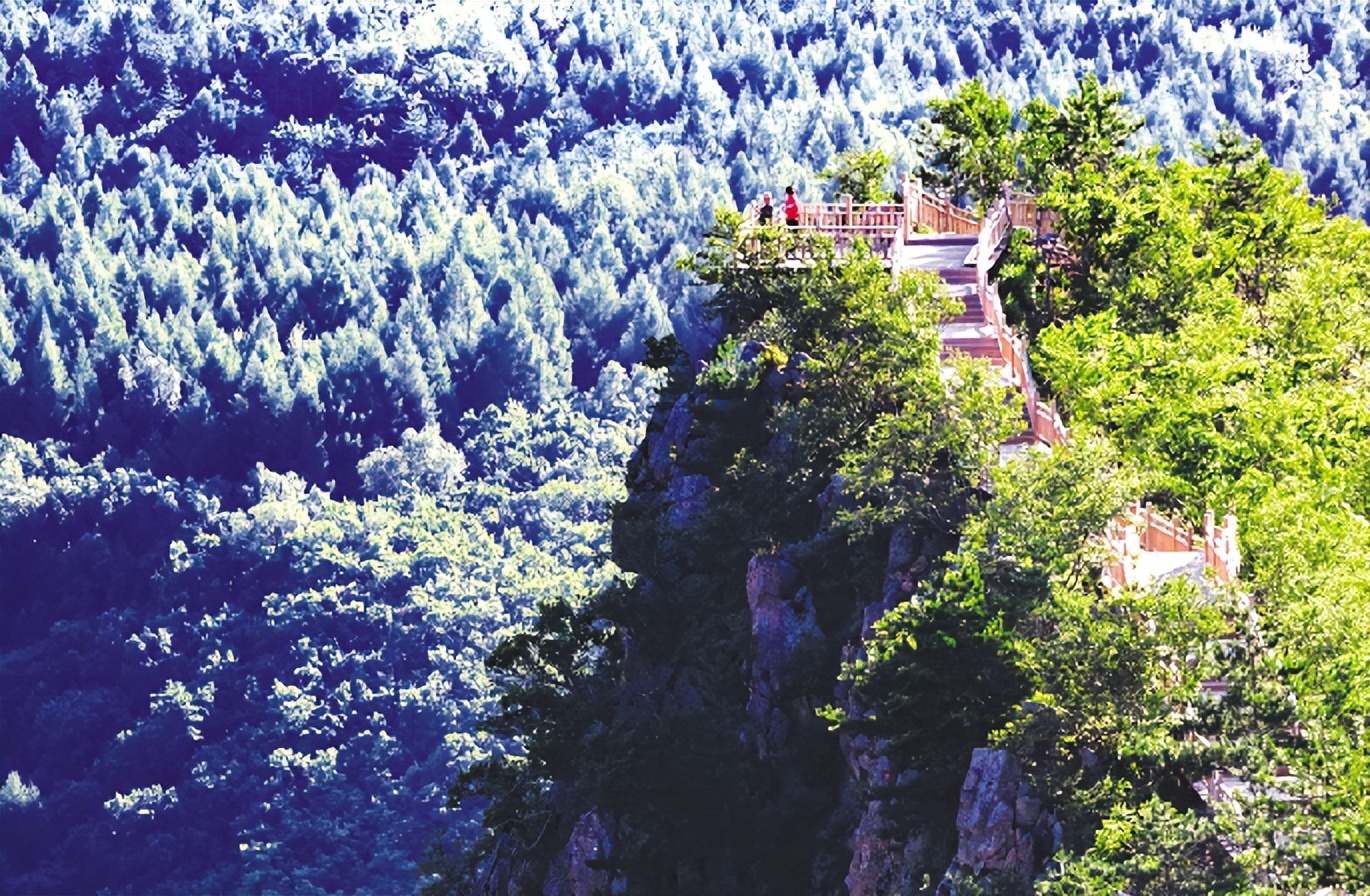 美好的夏天一切都在盛放,一切都从这个美好的夏天开始