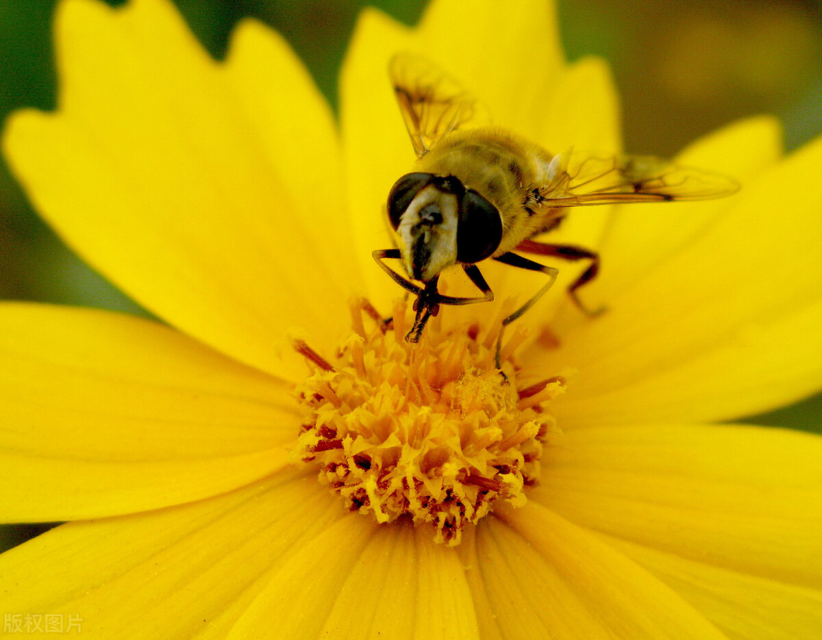 立个目标再瘦五斤,立个小目标