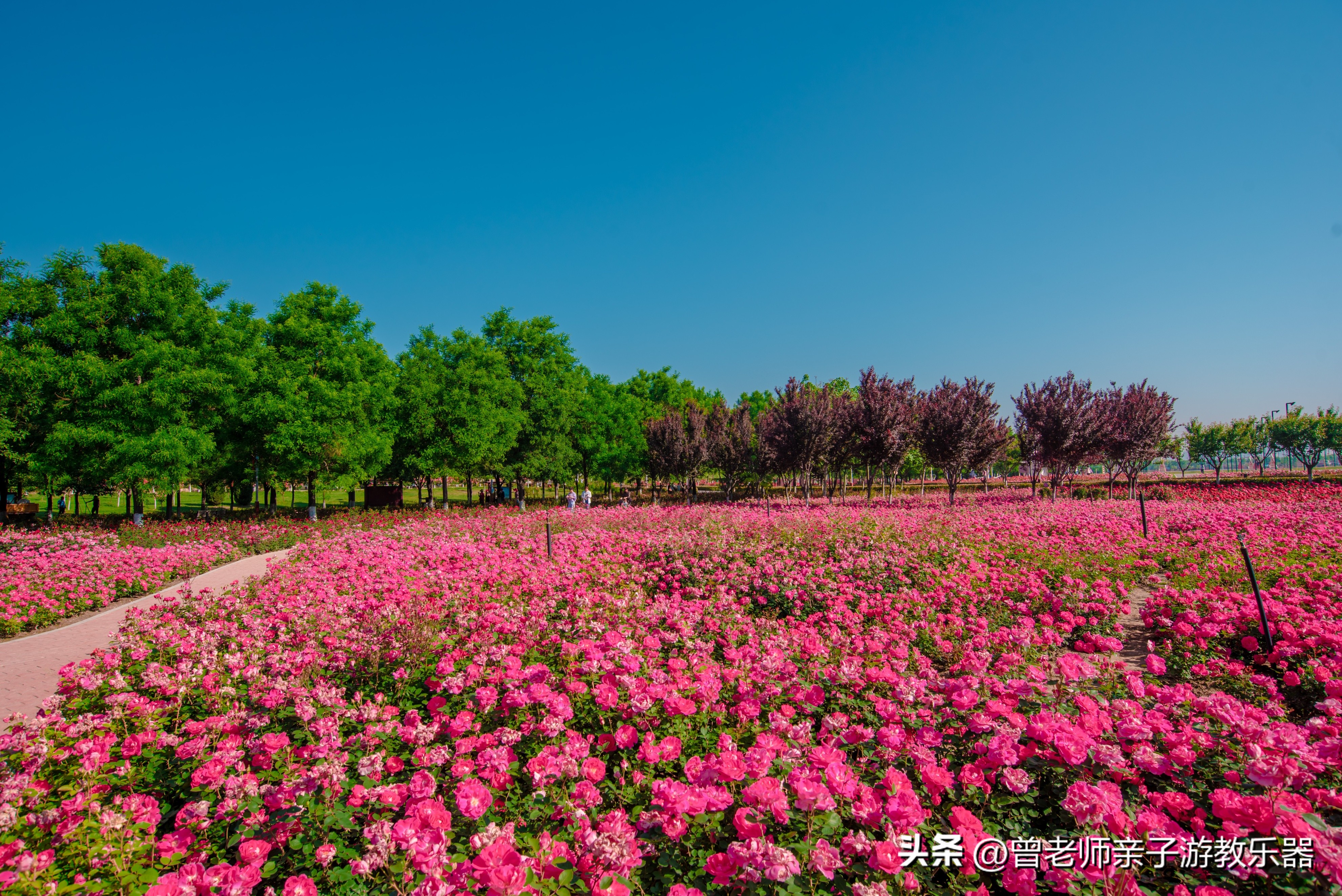 西安旅游景点免费推荐一日游攻略,西安旅游必去景点推荐一日游免费