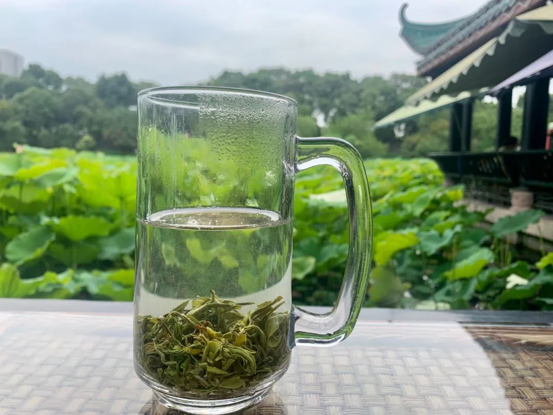 收什么废品能月入过万,兼职捡废品一个月能挣多少