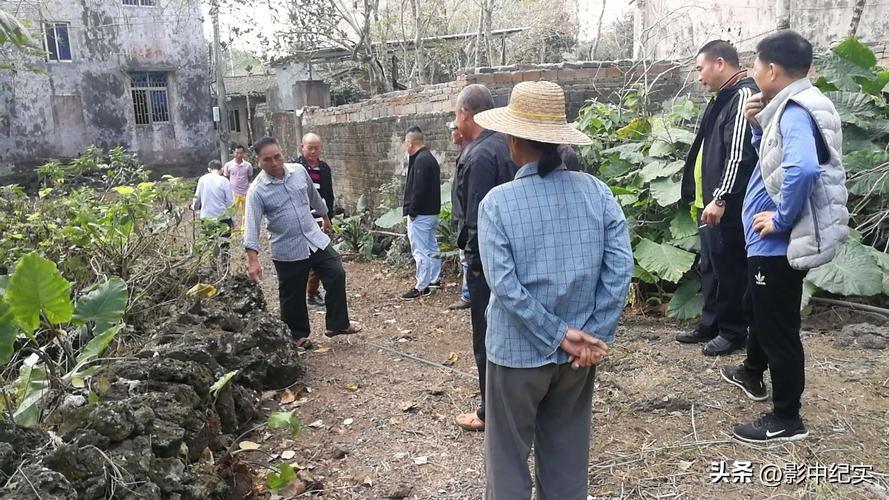 96年海南巨蟒报恩是真实的事吗,96年海南巨蟒为报恩甘愿当保姆