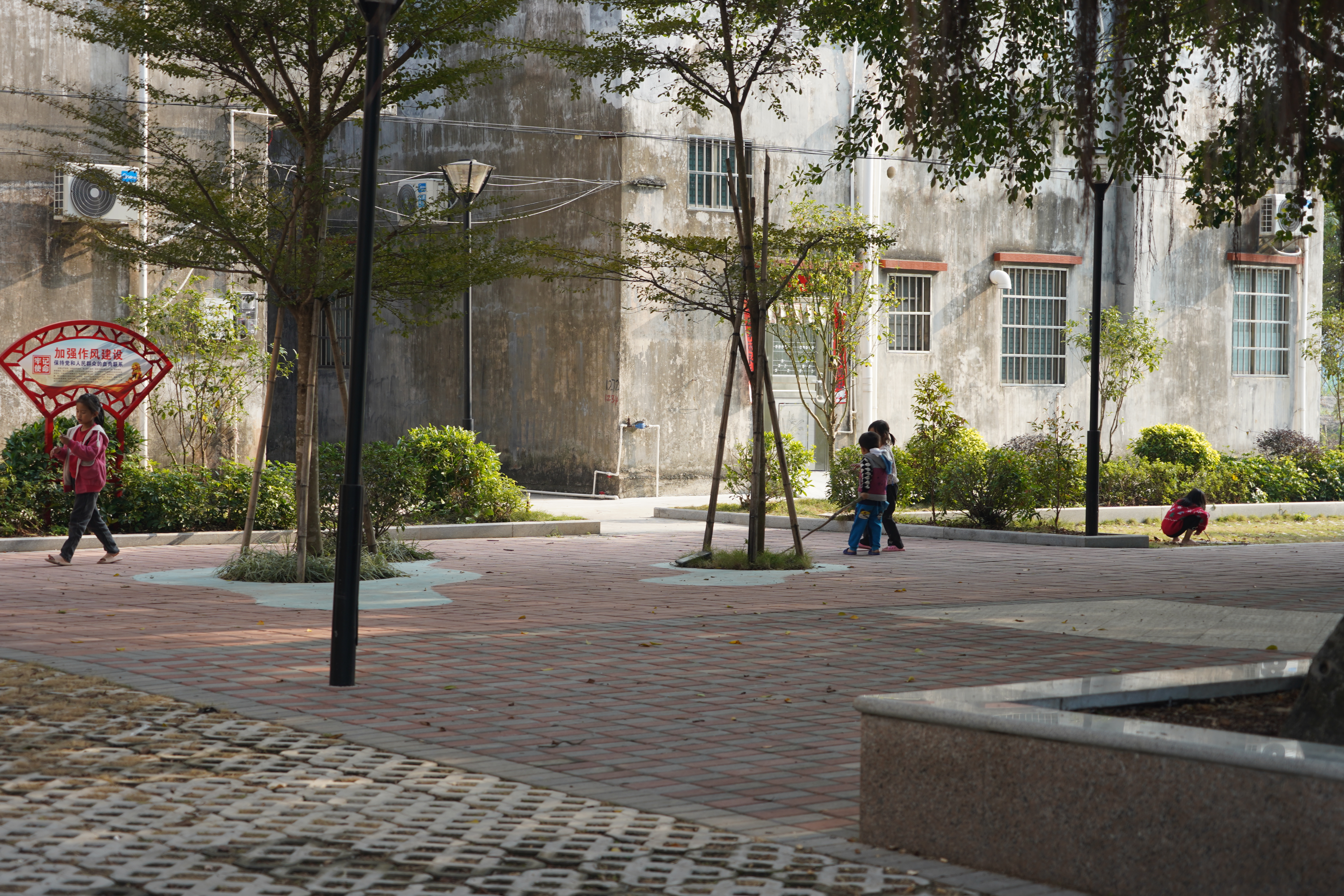 江门新会旅游景点小鸟的天堂,新会小鸟天堂历史记录