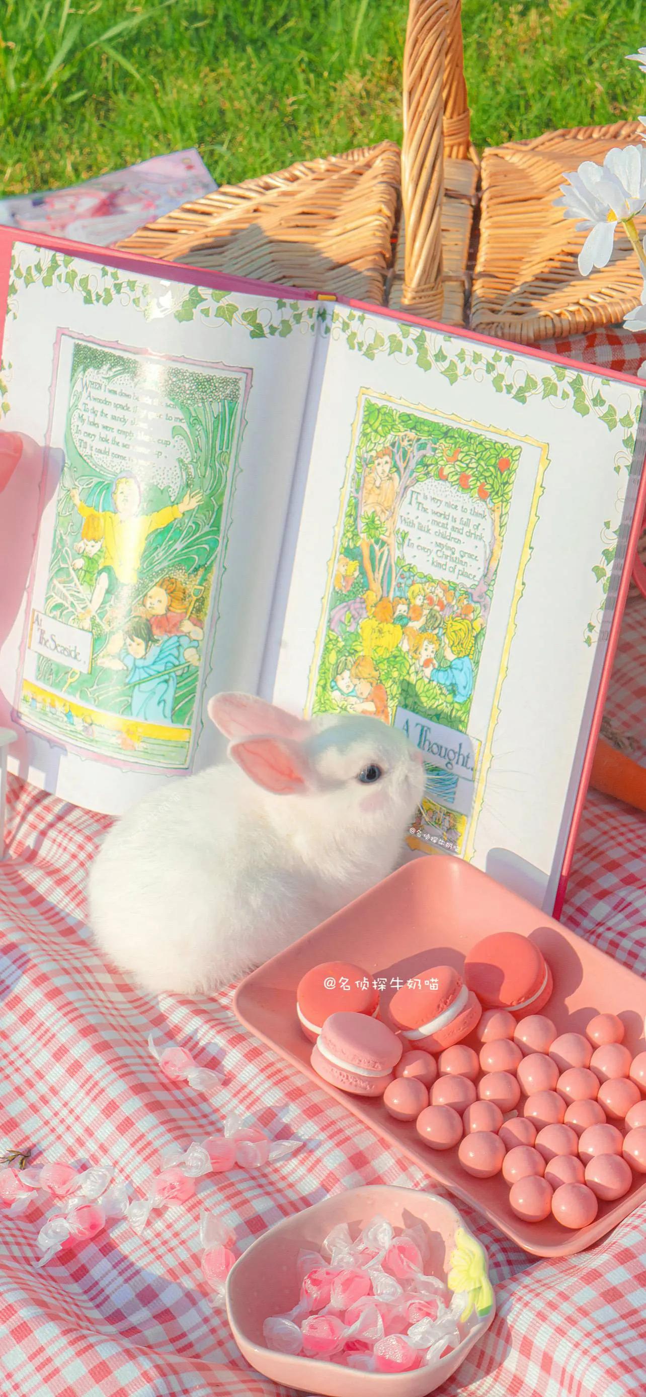 治愈系风景壁纸浪漫至死不渝,手机壁纸可爱简约治愈系卡通