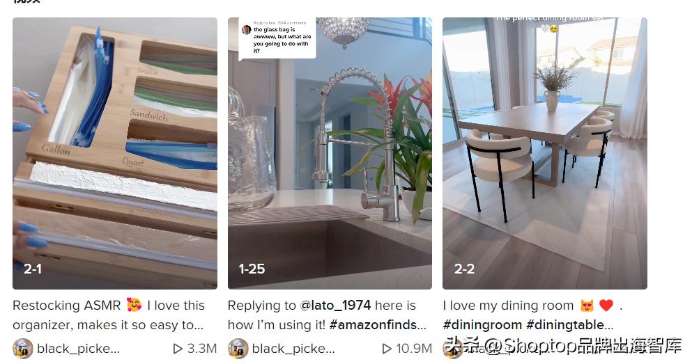 颠覆传统审美的包包花瓶在TikTok上斩获千万*放播**