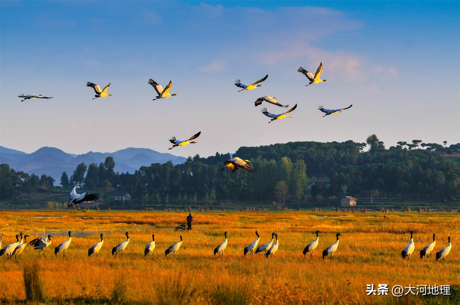旅游攻略国内十大必去景点南方,中国南方著名景点