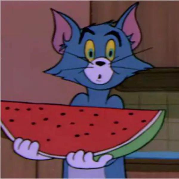 宝藏公众号推荐头像,有品味且高级微信头像