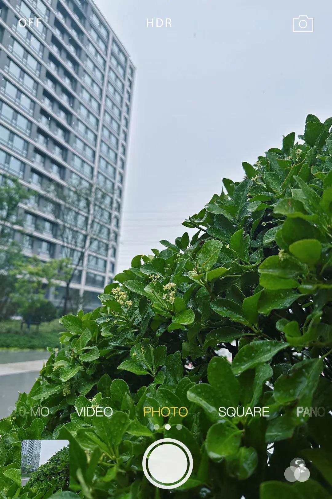 绿城百合花园景观,德州云天绿城百合花园