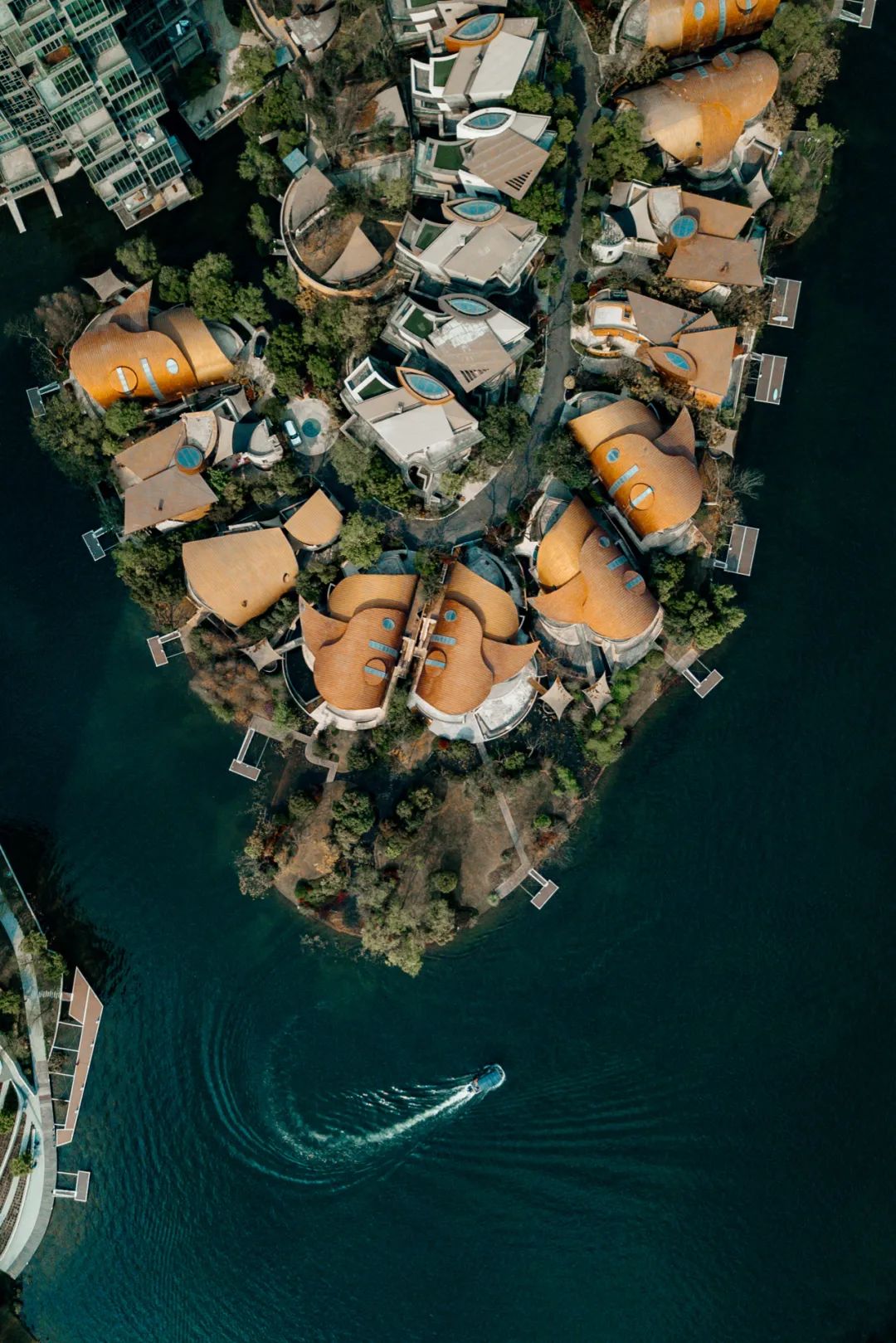 成都向上最新信息,年度向上力量合照