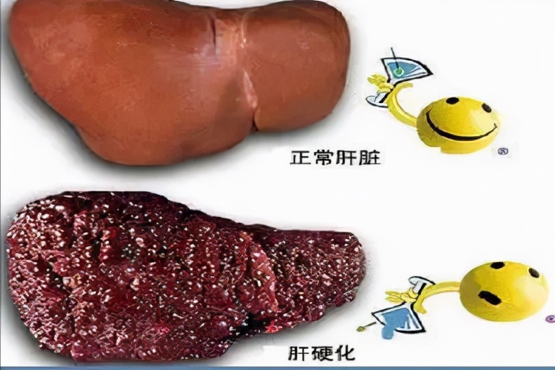 被隐藏50年的惊天骗局,隐藏了50年的骗局