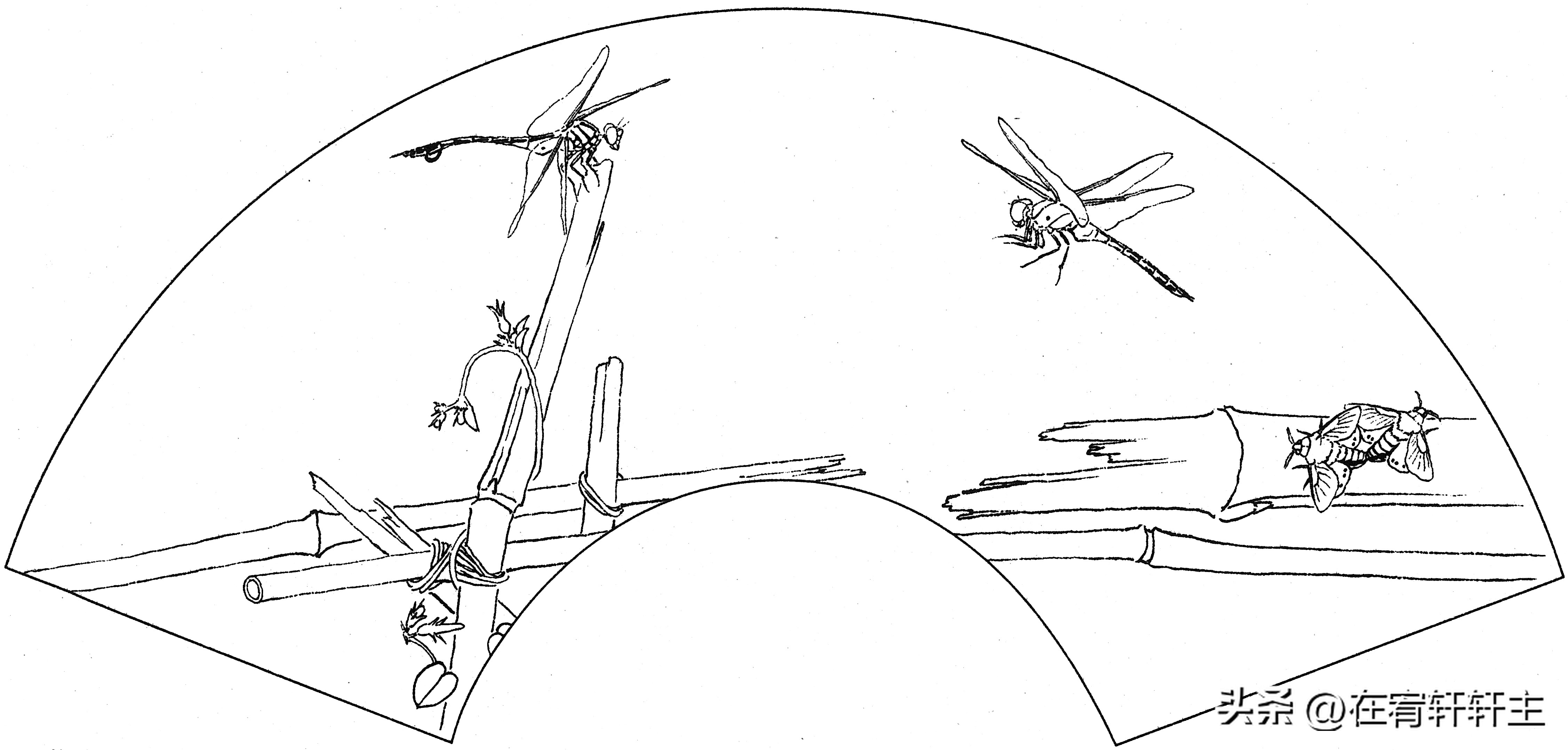 工笔白描祥云图案扇面,工笔扇面葡萄白描图片