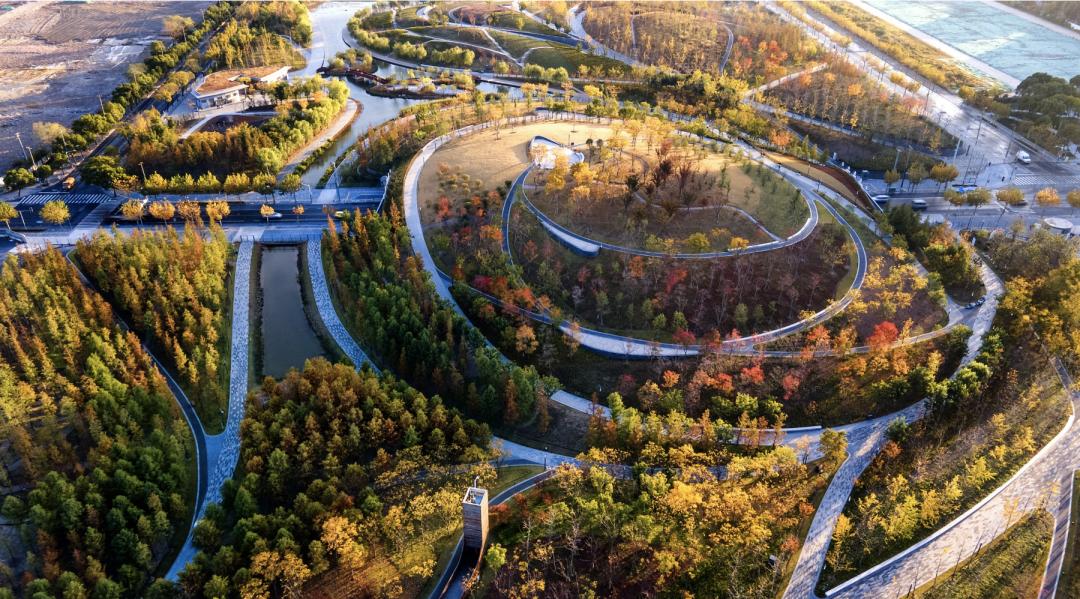 南大！桃浦！能否实现1+1＞2的效果？带飞西北部经济价值增长？