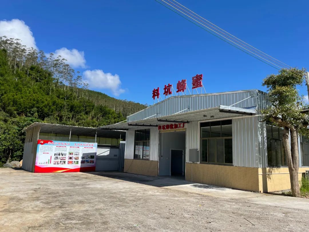 小蜜蜂酿出甜蜜大产业,白沙村小蜜蜂酿出甜蜜大产业