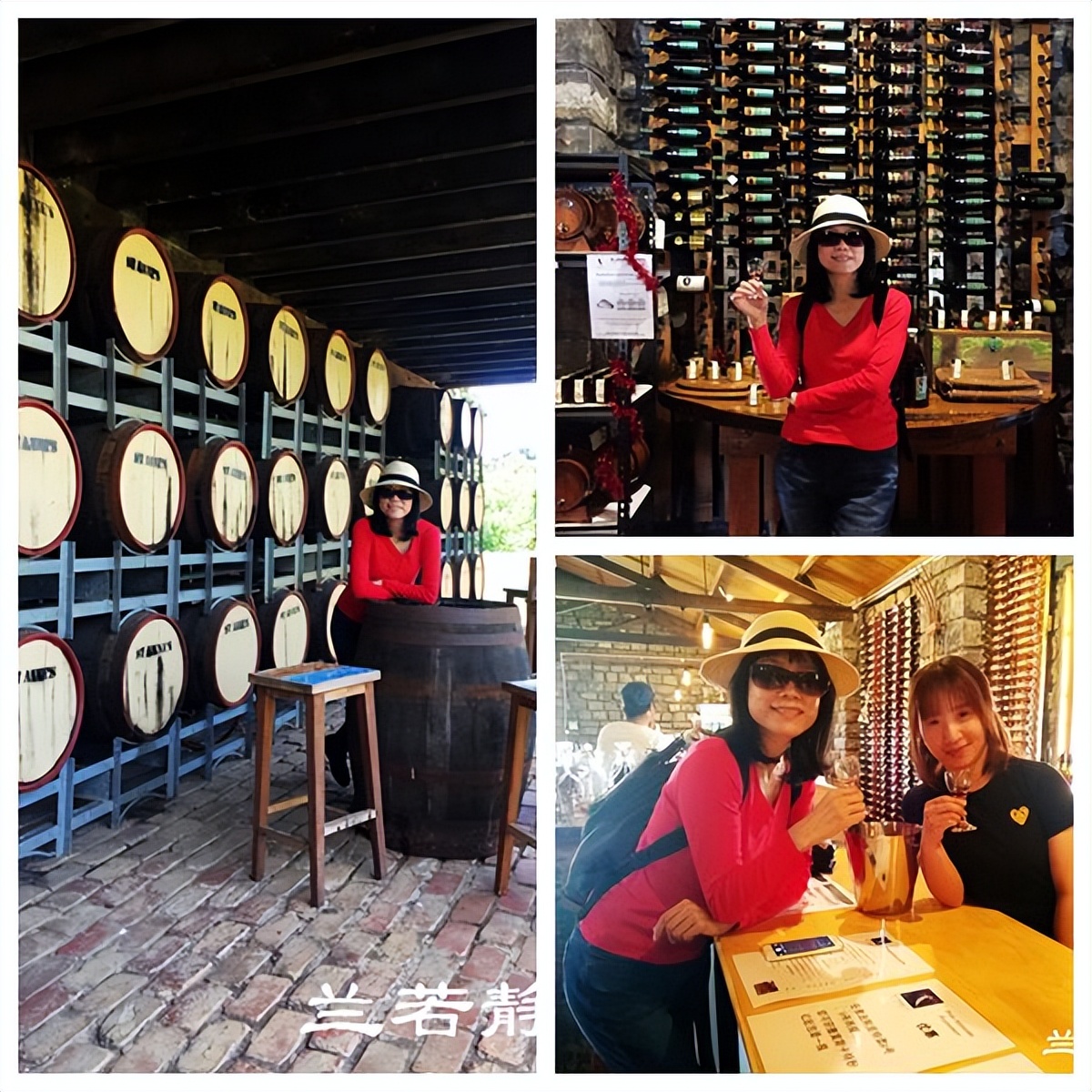 澳洲·墨尔本：到酒庄免费品酒，付5澳元到樱桃园吃到撑