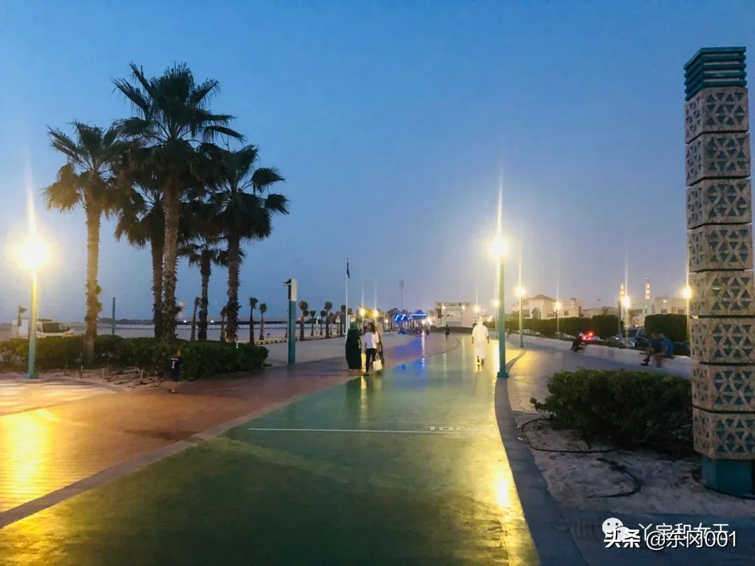 前往迪拜之旅,前往阿联酋