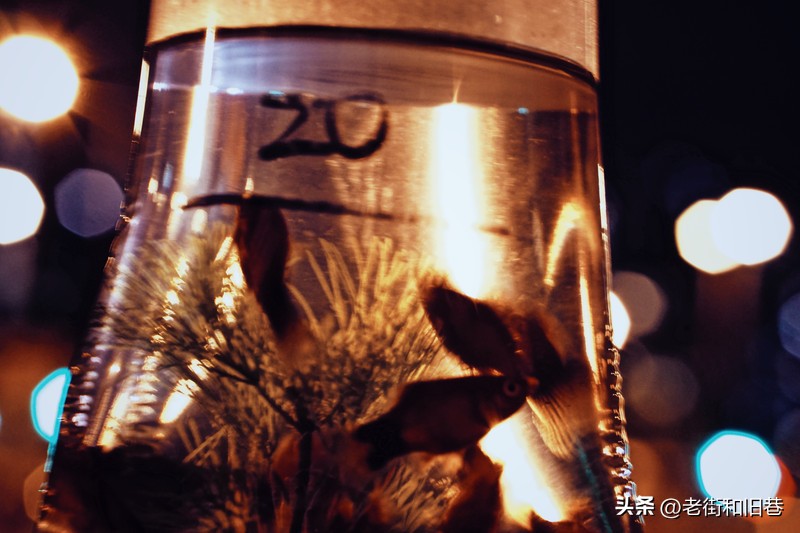 罗生门和黄粱梦,罗生门香港live