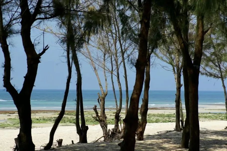 这座岛究竟有何神奇之处,怎么玩海陵岛不踩坑