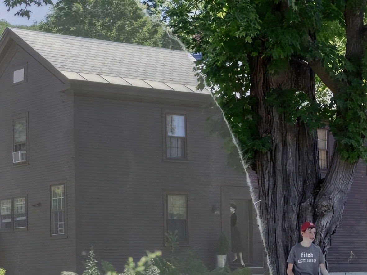 锡耶纳2023摄影大赛作品,2020锡耶纳国际摄影大奖作品