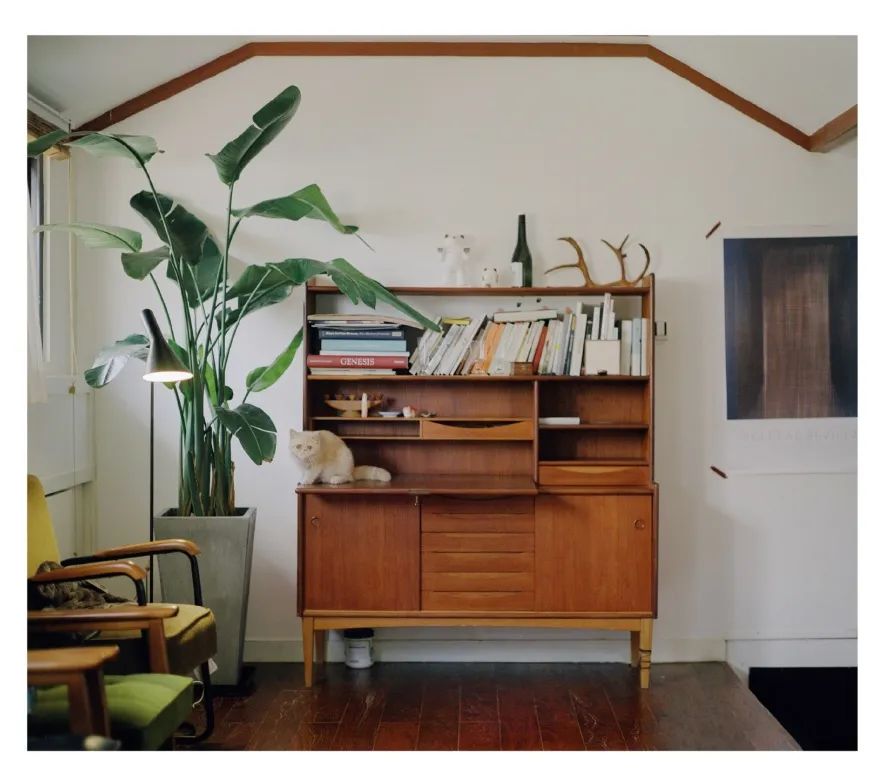 独居上瘾,独居真的很上瘾