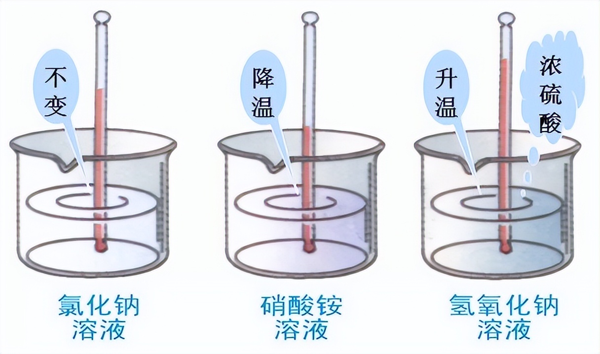 科学知识大全小学生必背,科学知识大全全集