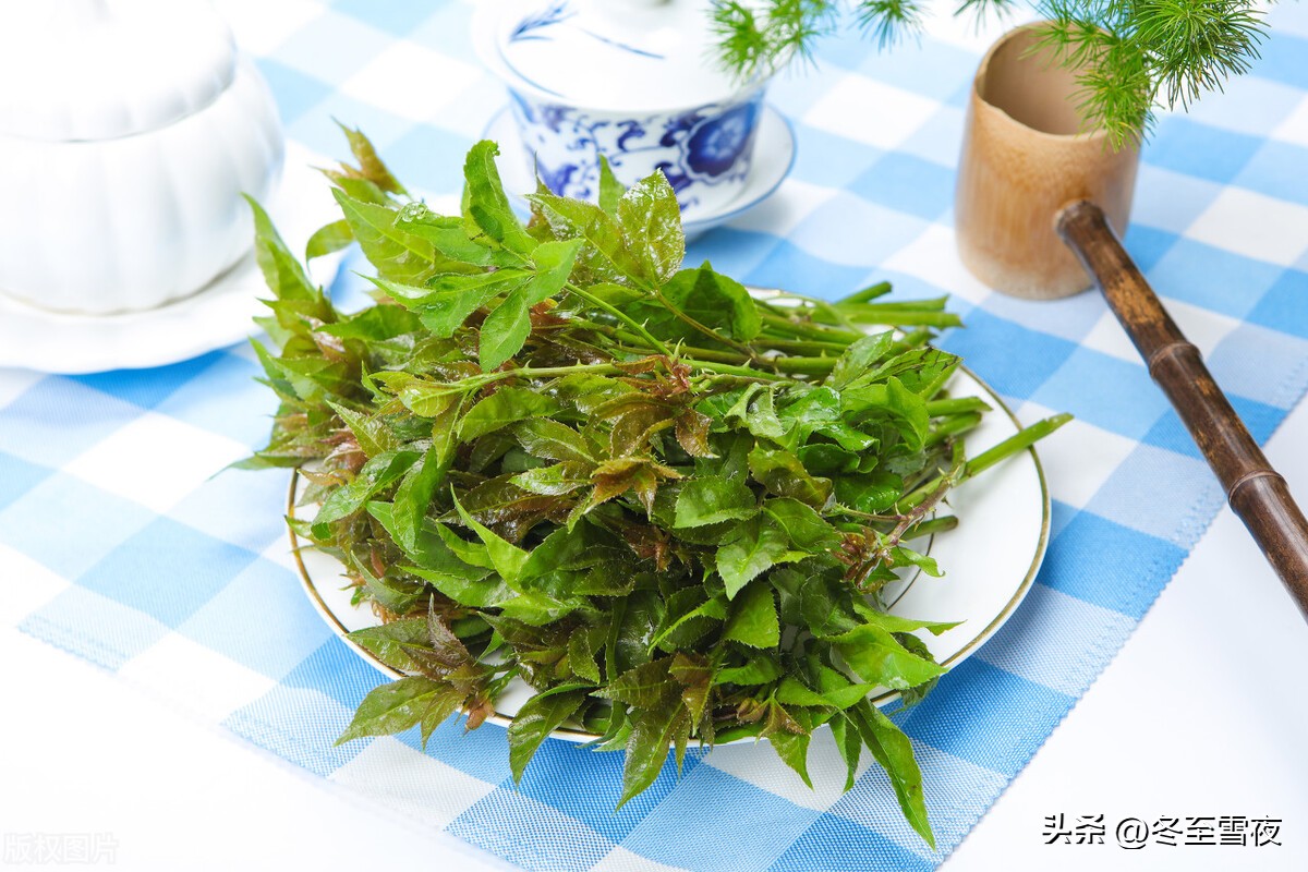 老年人吃什么食物能养肝护肝最好,春季养肝护肝吃什么补品好