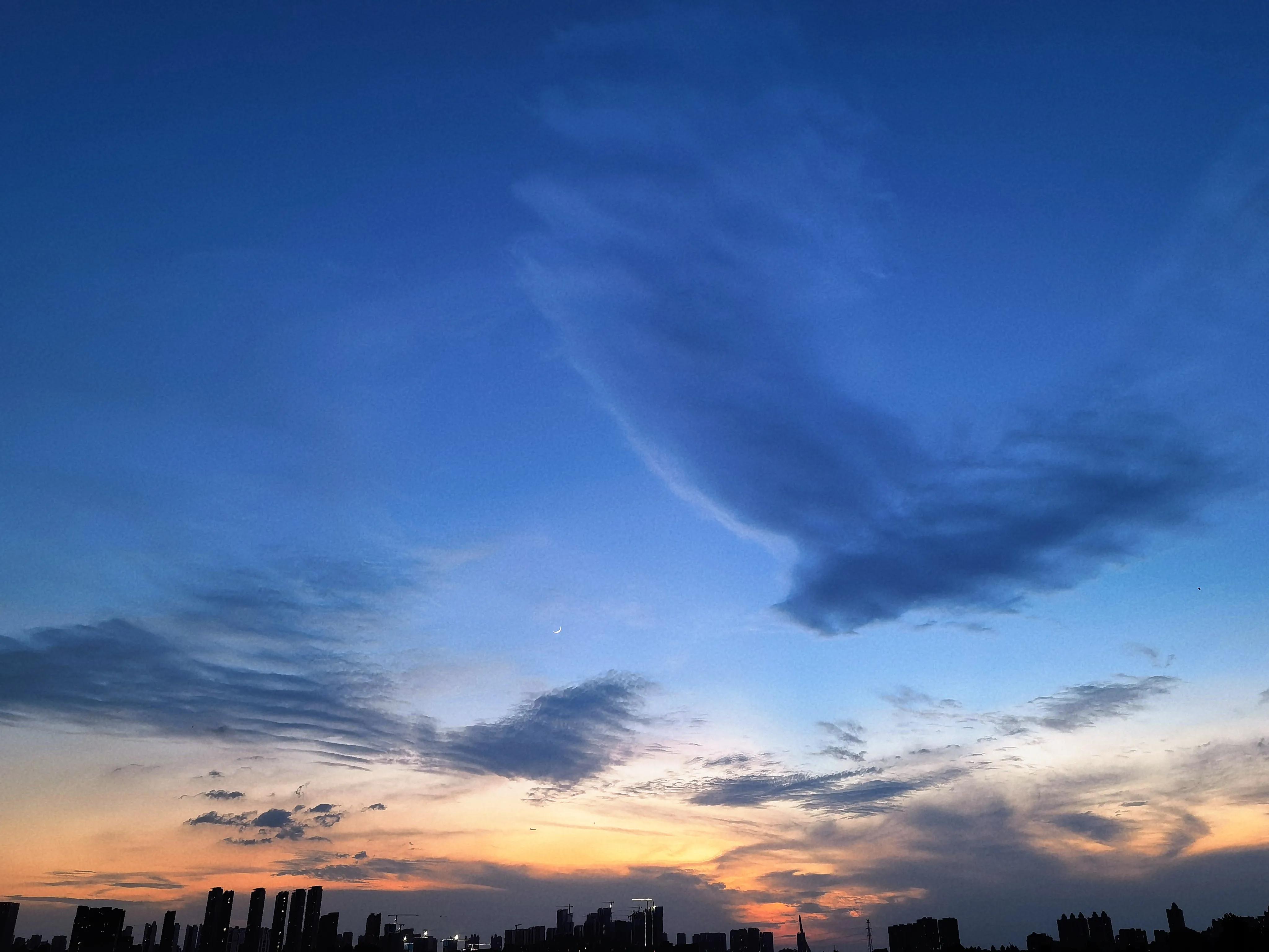 人世短暂，相思绵长——飞鸟与鱼