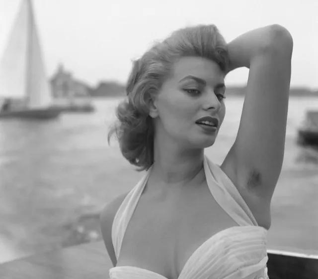 意大利著名演员索菲亚罗兰,为什么索菲亚罗兰是意大利玫瑰