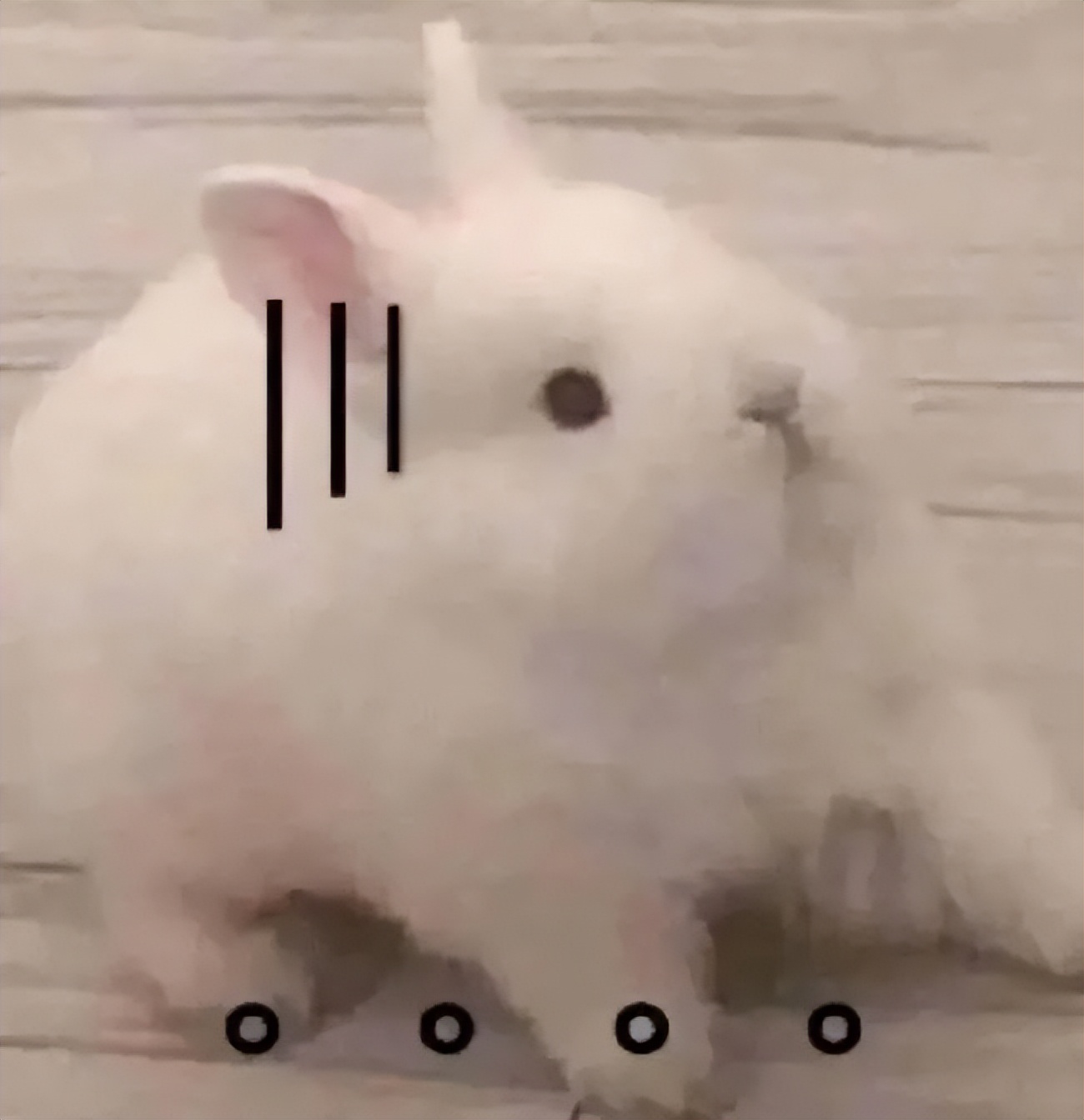 可算离了，这声恭喜美女摆脱酗酒男终于能说出口了