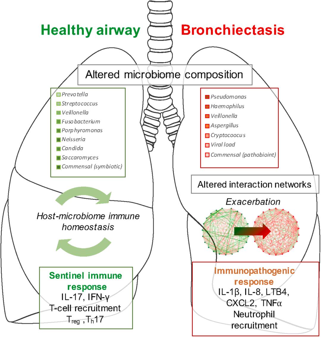 周敏教授：慢阻肺病、支扩及慢阻肺支扩重叠综合征气道微生物研究