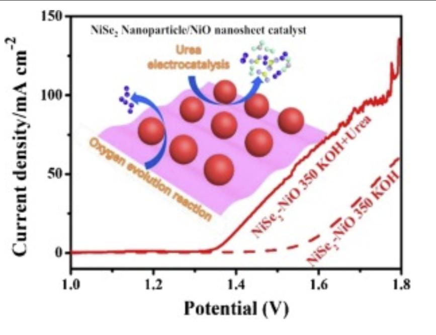 通过热重仪解构CNB树皮，是否能高效率转化为高能量密度液体燃料