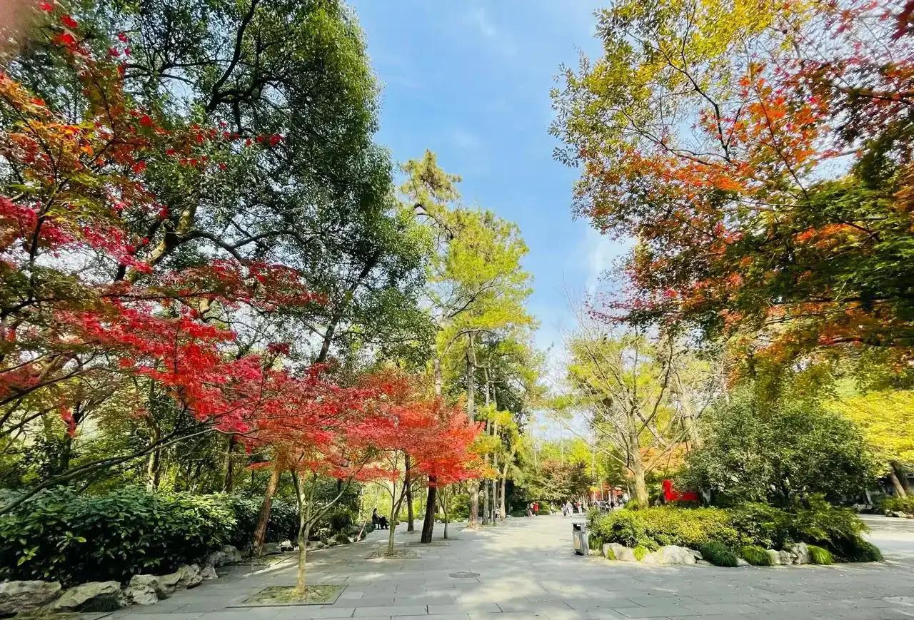 杭州周边赏秋好去处,杭州赏秋最佳攻略