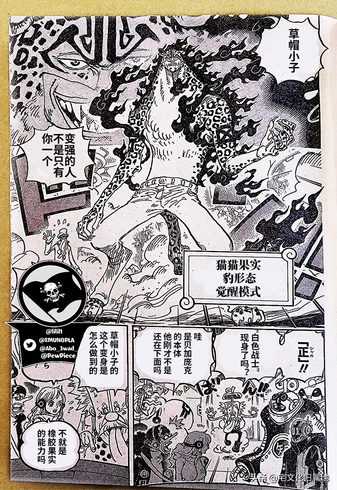 海贼王第1039话情报路飞,海贼王1076话情报路奇