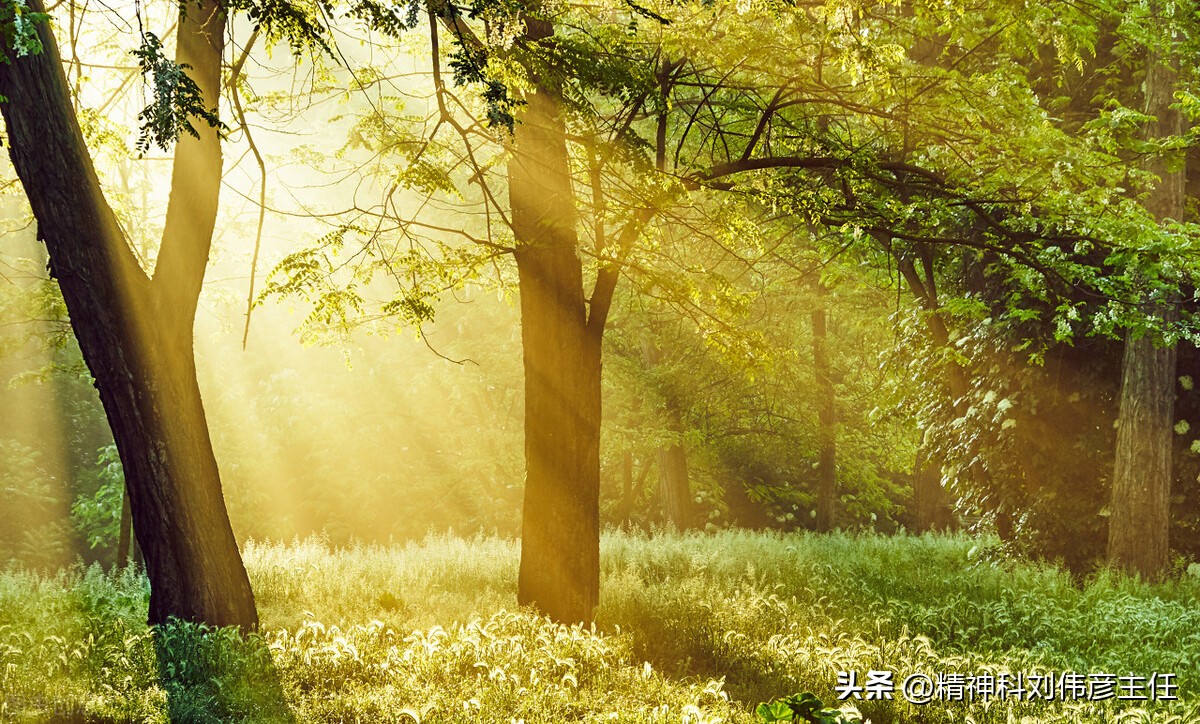 丙戊酸钠治癔症吗,丙戊酸钠治疗癔症