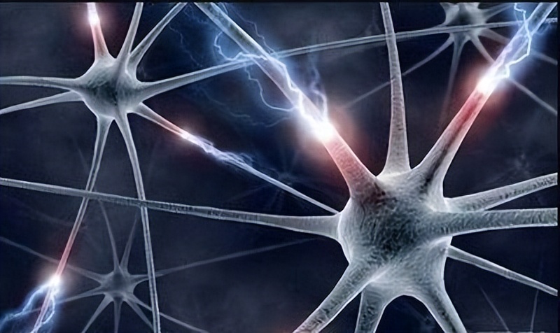 美国救活5个小时死亡的猪,美国科学家做的复活实验