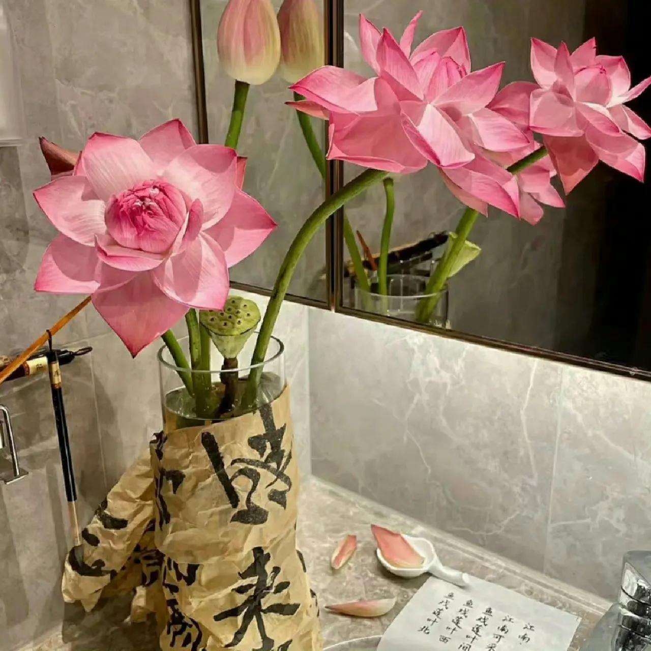 爱迎万难文字封面背景图,因为喜欢可迎万难背景图