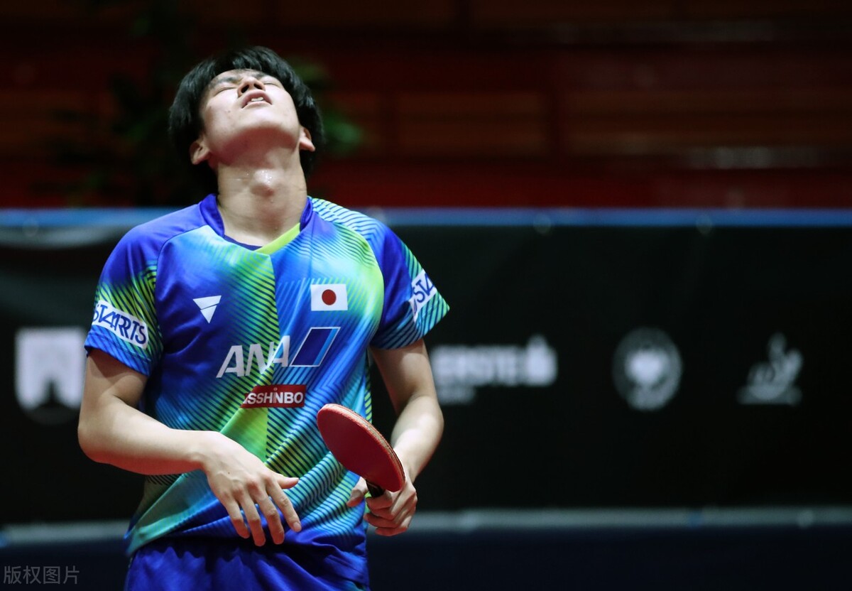 张本智和日本32强赛夺冠,世乒赛日本张本智和输给谁
