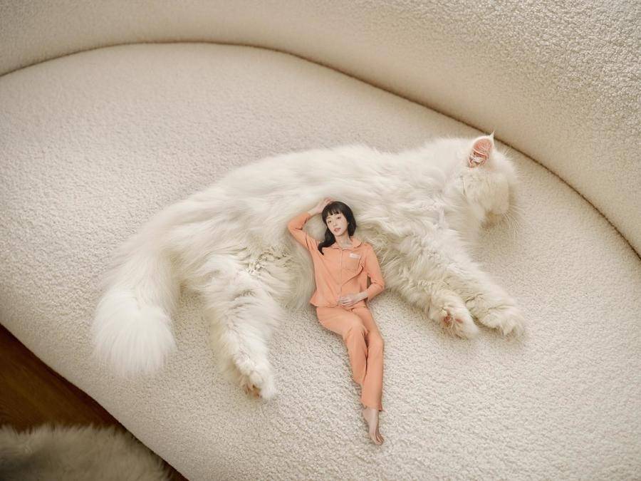 都市丽人无尘棉家居服女,冬季无尘棉家居服