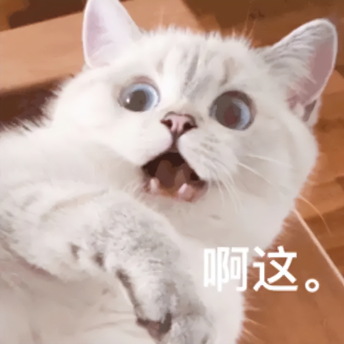 装修干货分享经验深圳,装修干货分享经验短视频