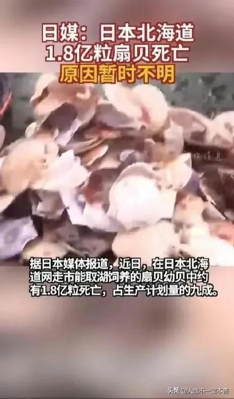 你还敢买日本货吗,太仓港进口日本核海鲜是否滞销