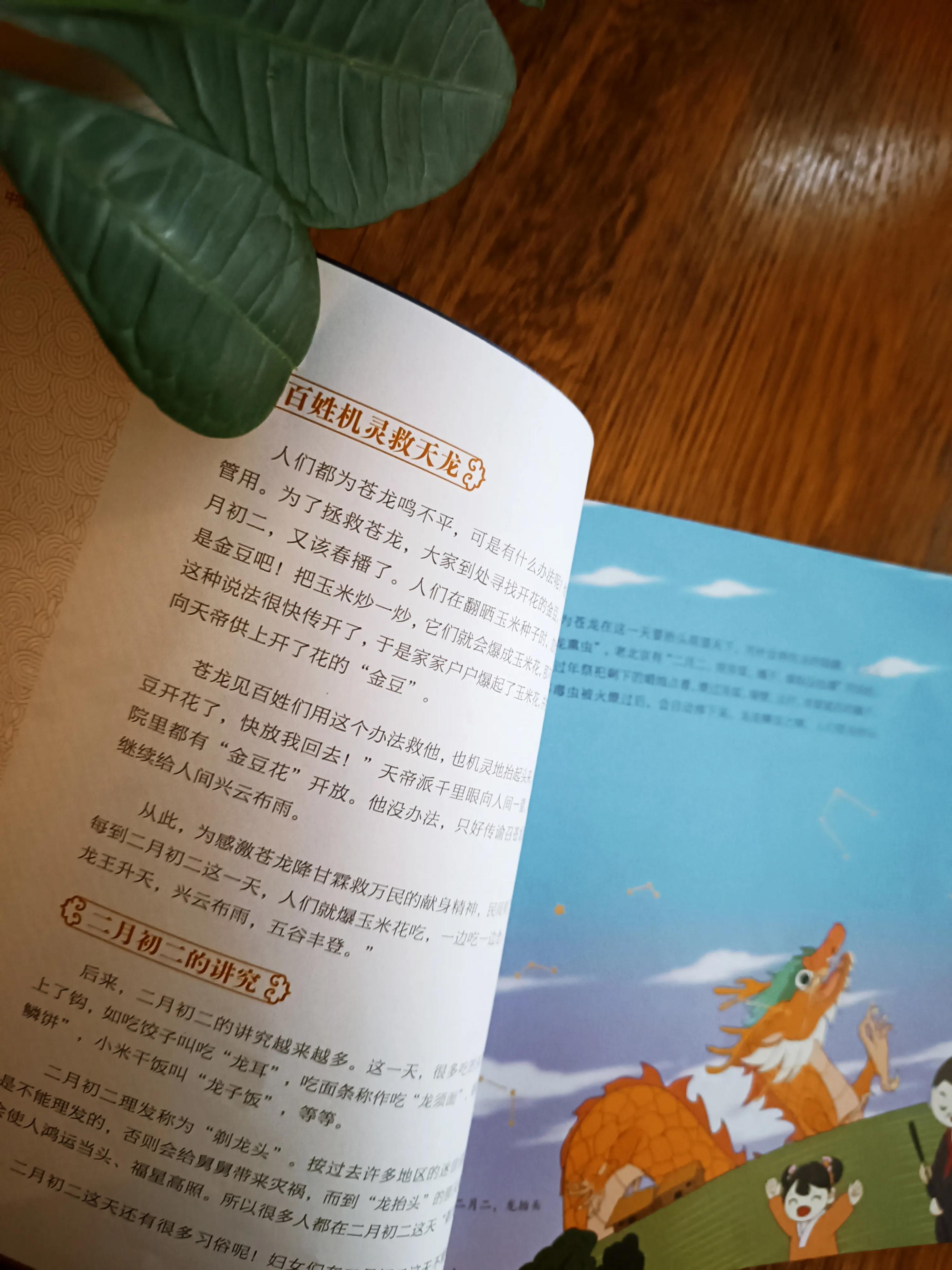 关于星座的天文知识,有关于星座的天文知识