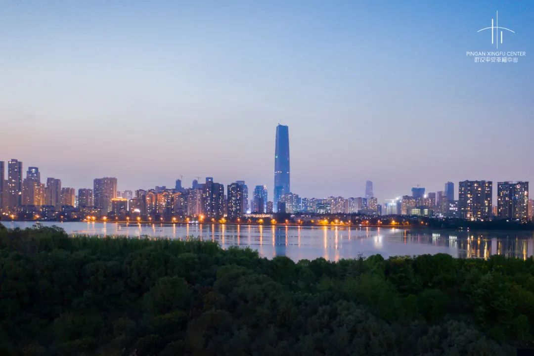 武昌楼市排名一览表,武昌楼市最新楼盘房价