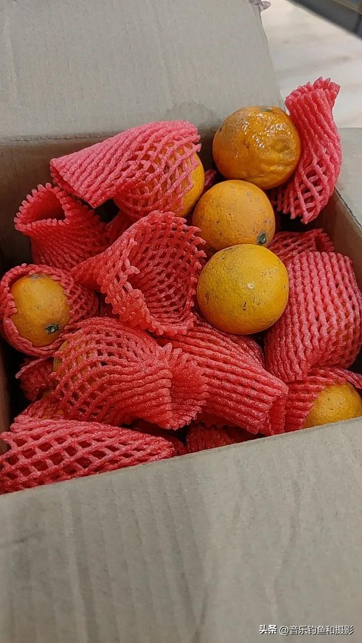 警惕！315打假，最新x宝春见橘子*局骗**